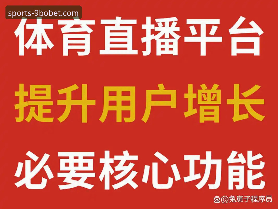9博体育平台赛事直播功能全面解析：实战体验与深度评测